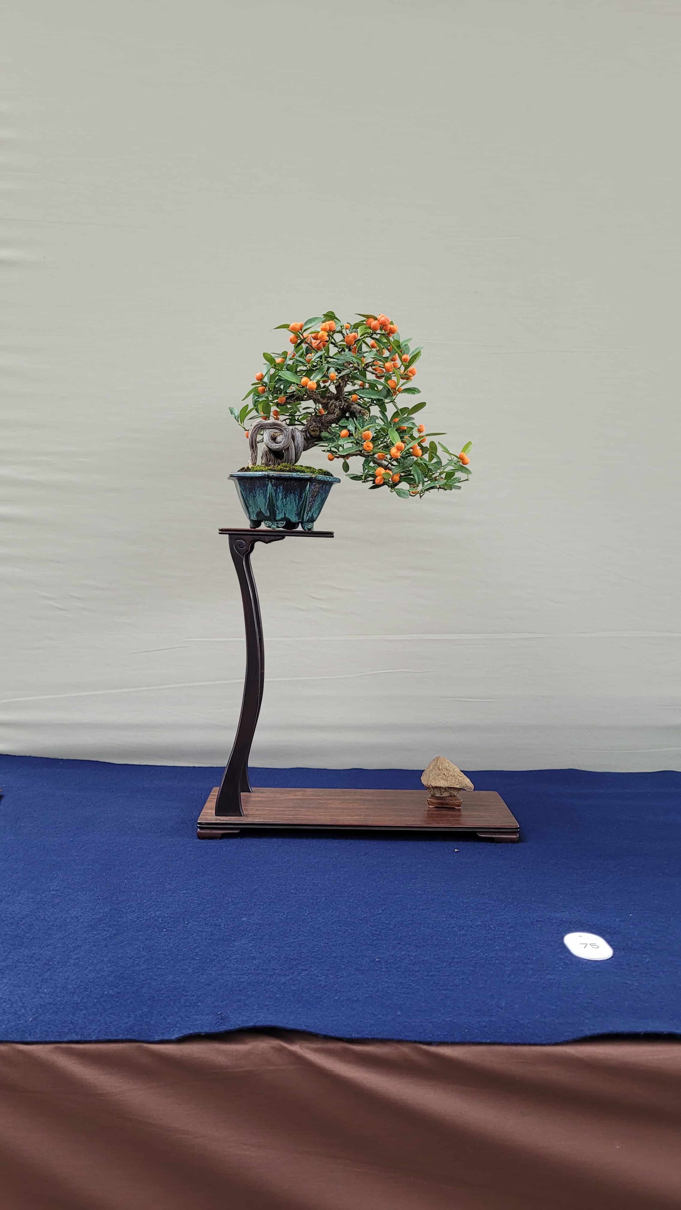 A flower bonsai tree from osaka show in Japan